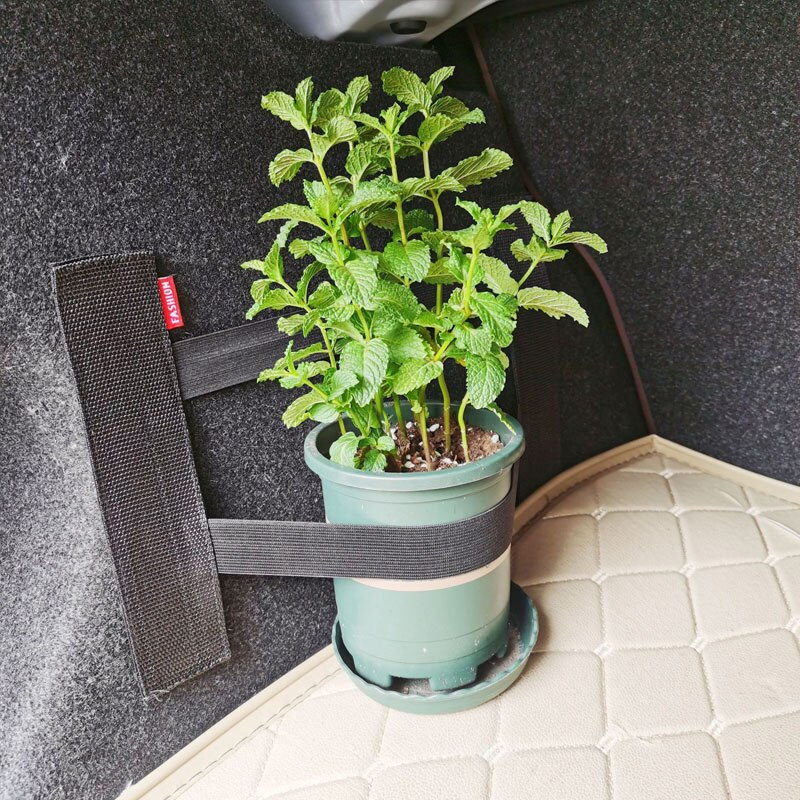 Car Trunk Elastic Mesh Fixed S - Car Cargo Net Trunk review and price